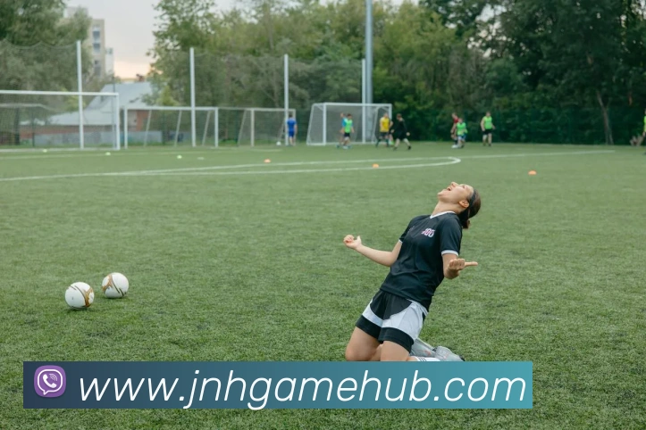 金年会平台生态图